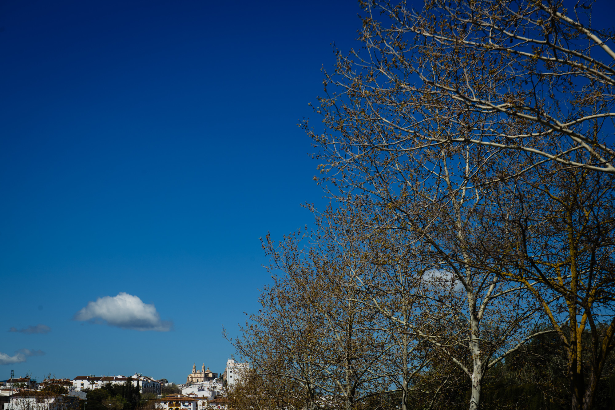 boda Macarena y manolo malaga-295
