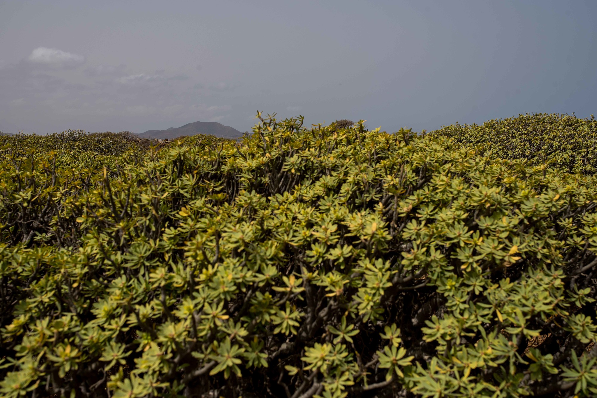 POST BODA FUERTEVENTURA ISLA DE LOBOS (29)