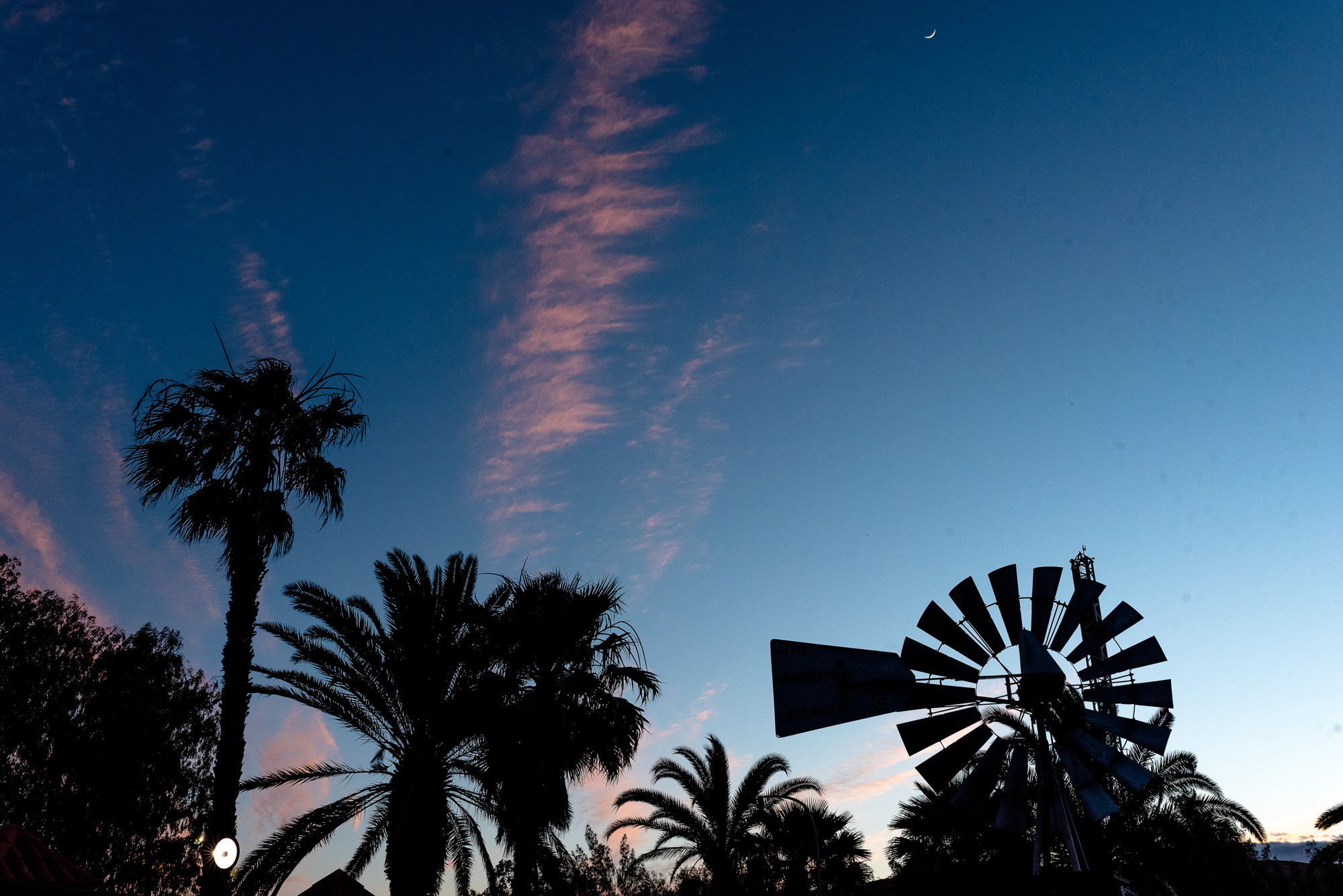 boda fuerteventura 29